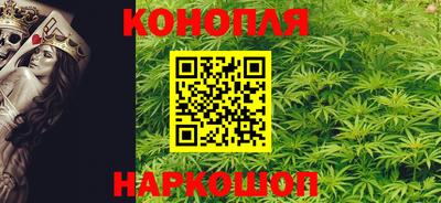 гашик Кандалакша
