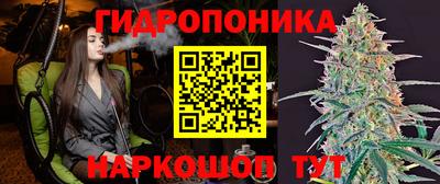 соль ск Камышлов