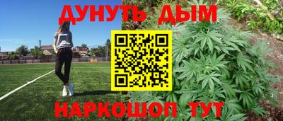гашик Кандалакша