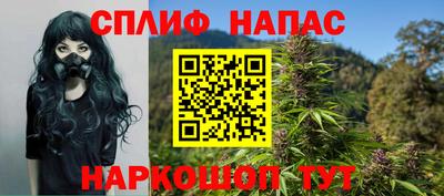 гашик Кандалакша
