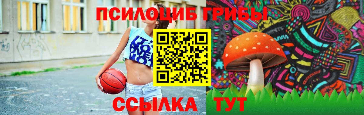 Галлюциногенные грибы Psilocybine cubensis  как найти   Нальчик  Галлюциногенные грибы Psilocybine cubensis 