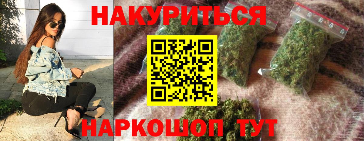 Каннабис индика Нальчик